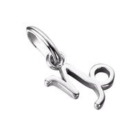 sterling silver - capricorn zodiac  symbol - seolgold